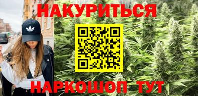 прущие грибы Краснодар