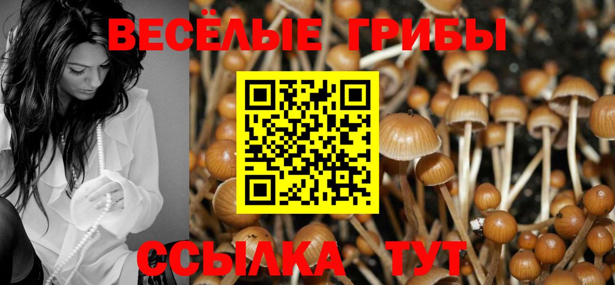 Псилоцибиновые грибы ЛСД  Вход с VPN  Ковров 